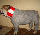 Зимняя одежда для собак со скидкой