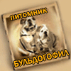 Питомник БульдогФил. Всё об английском бульдоге!