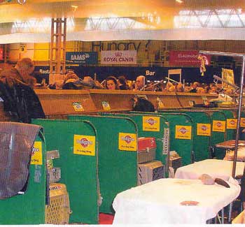 kruft_2006