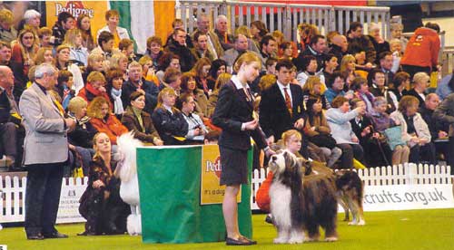 kruft_2006